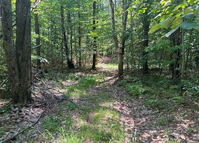Property at 0 Mitchellsville Hill Rd, Urbana, NY 14840