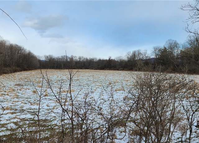 Property at 0 Caswell Rd, Dryden, NY 13068