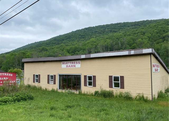 Property at 8663 Route 28, Shandaken, NY 12465, 0.5 baths