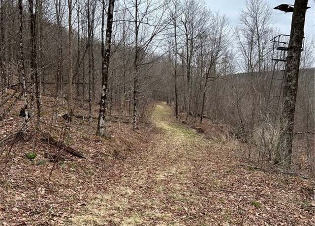 Property at 323 County Road 19, Preston, NY 13815