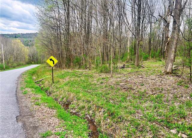 Property at Sisson Hill Rd, Unadilla, NY 13849