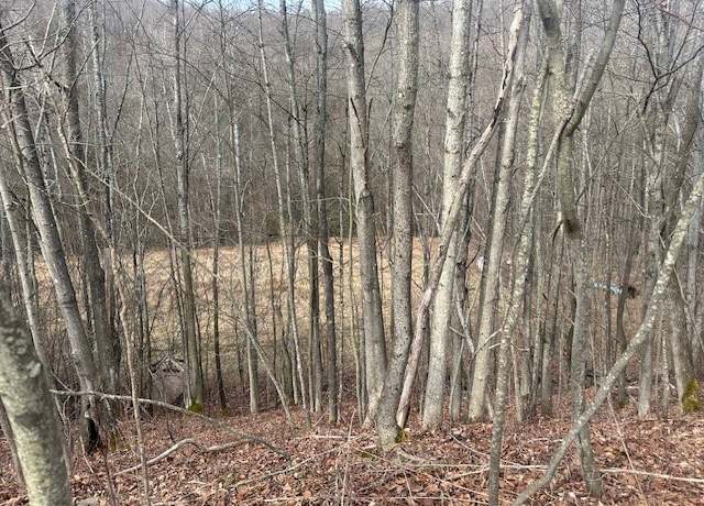 Property at Cr-126, Greenwood, NY 14839