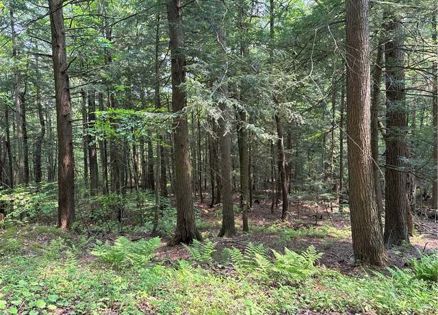 Property at Spring Rd S, Ossian, NY 14437