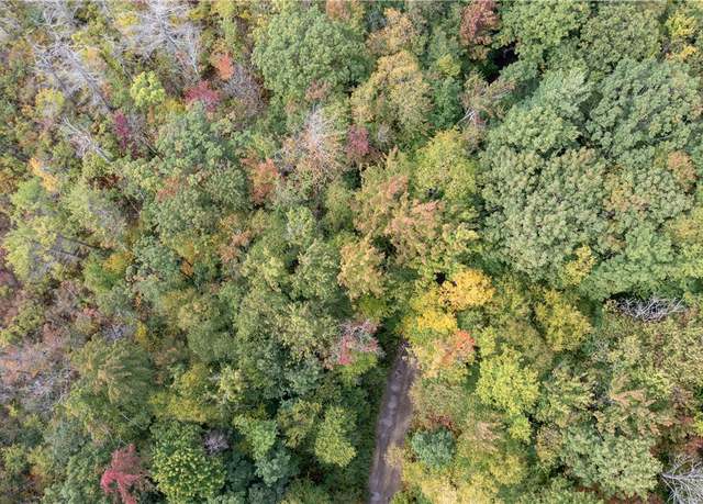 Property at 0 Chief Canesque Ln, Springwater, NY 14560