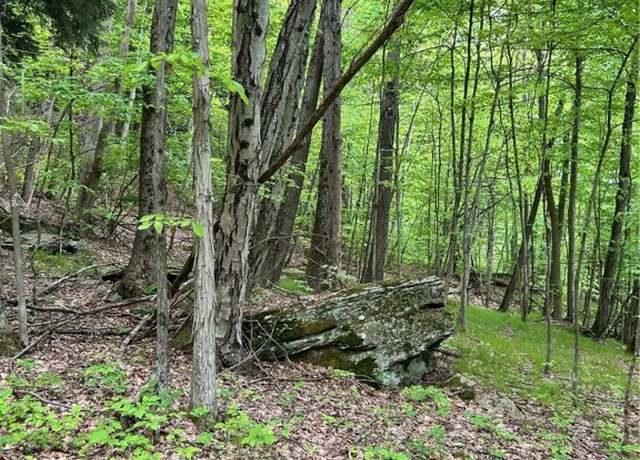 Property at 512 County Road 18, Butternuts, NY 13809