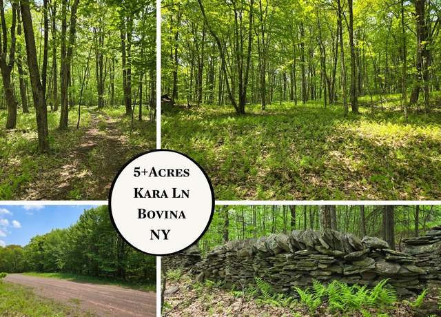 Property at Lot 25 Kara Ln, Bovina, NY 13740