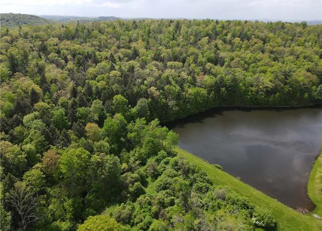 Property at VL Lot 1 Hardscrabble Rd, Addison, NY 14801