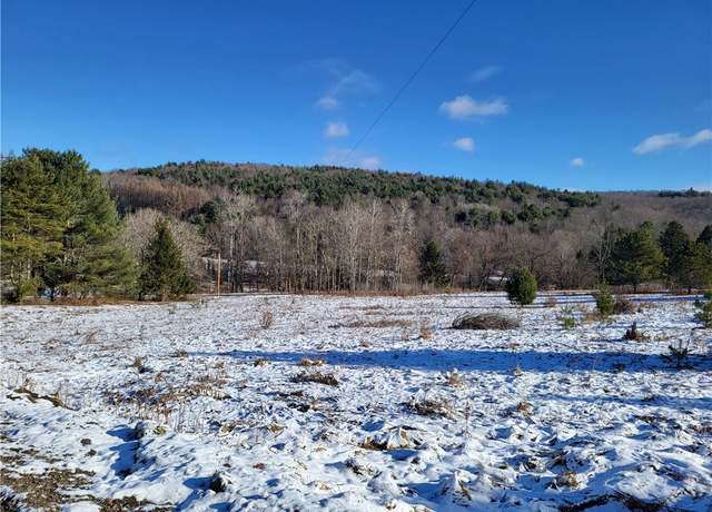 Property at 0 Mary Brown Hill Rd, Laurens, NY 13796