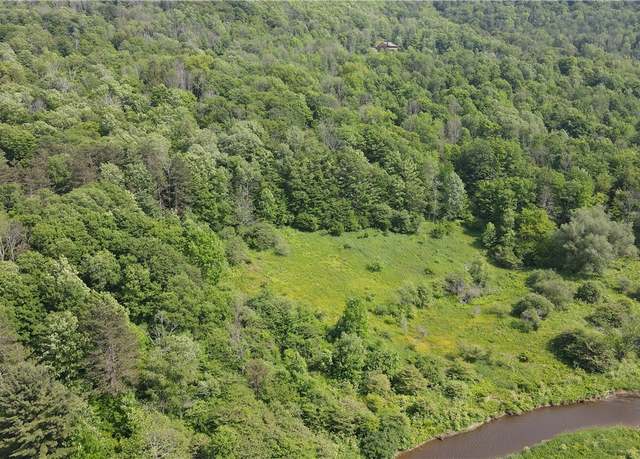 Property at 0 Creek Ridge Rd, Ellicottville, NY 14731