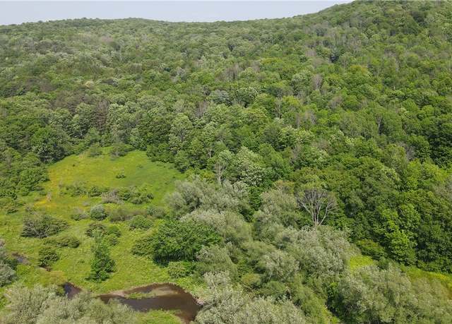 Property at 0 Creek Ridge Rd, Ellicottville, NY 14731