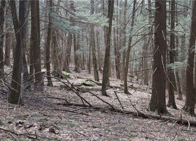 Property at TBD Terrace Dr, Lexington, NY 12452