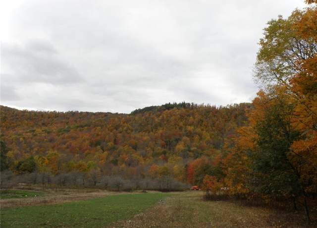 Property at Gregory Hollow Rd, Hamden, NY 13782