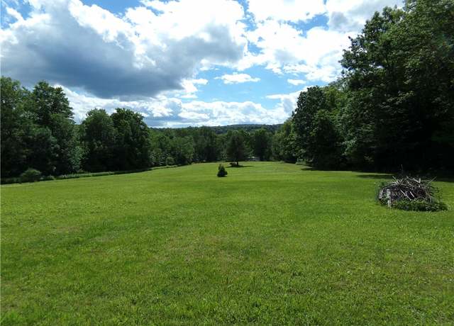 Property at 0 State Route 41, Coventry, NY 13733