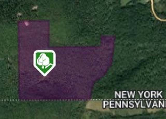 Property at 253 Fenescey Rd, Windsor, NY 13865