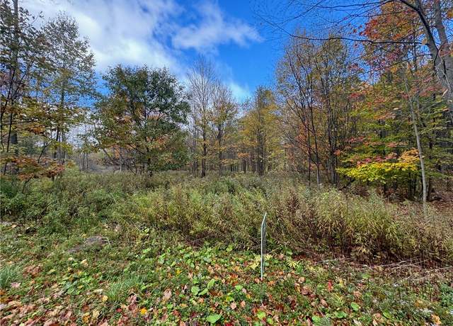 Property at 0 Town Line Rd, Butternuts, NY 13776