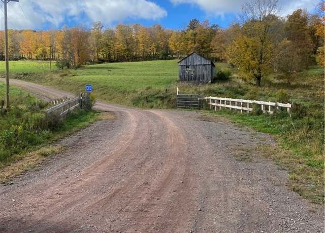Property at 530 Cape Horn Rd, Bovina, NY 13740