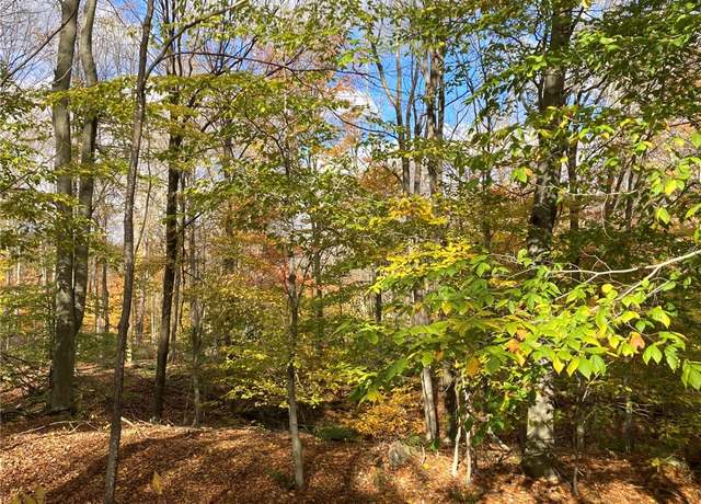 Property at Sanford Rd, Sterling, NY 13156