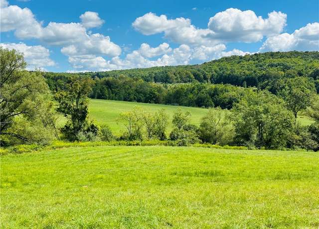 Property at 0 Teed Hill Rd, Masonville, NY 13804