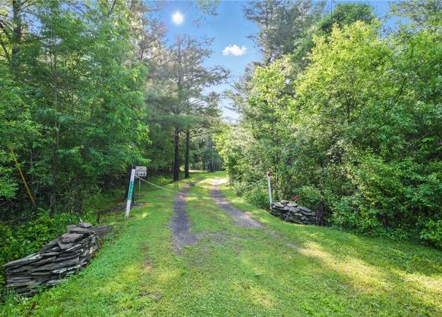 Property at 11522 Thornapple, Pulteney, NY 14873