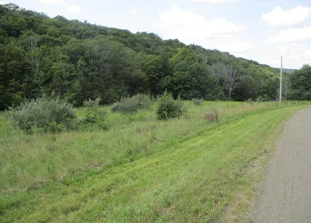 Property at 161 Lewis Rd, Southport, NY 14871