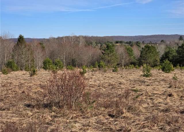Property at 0 Bourne Hill Rd, Morris, NY 13808