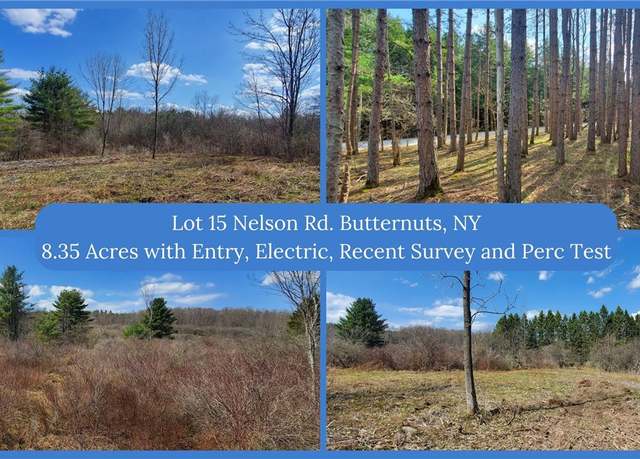 Property at Lot 15 Nelson Rd, Butternuts, NY 13843