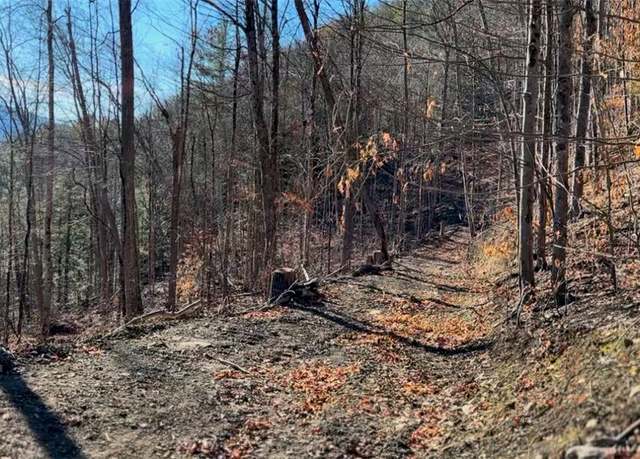 Property at L15 Gorge Rd, Middleburgh, NY 12122