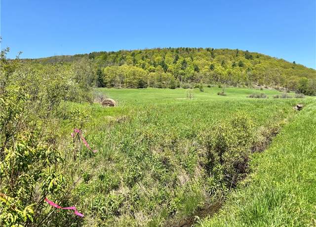 Property at 463 Cemetery Rd, Seward, NY 12043