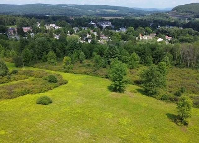Property at 0 Tyler St. And Cornell Dr, Bainbridge, NY 13733