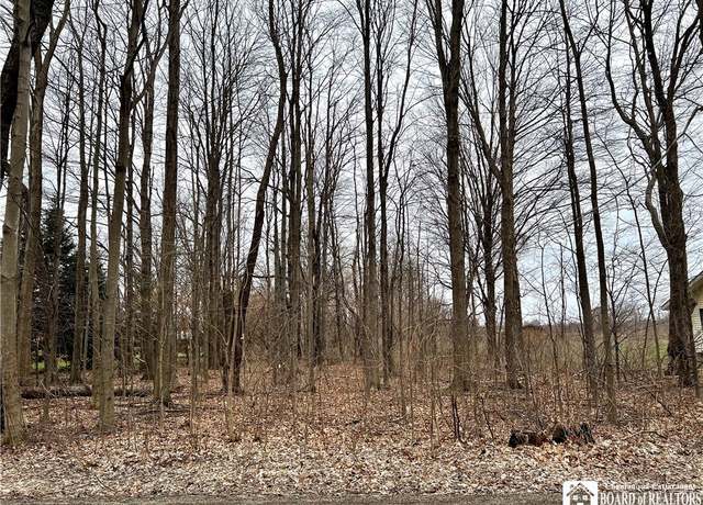 Property at 00 Chestnut Rd, Pomfret, NY 14048