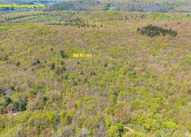 Property at Sanly Rd, Franklin, NY 13839