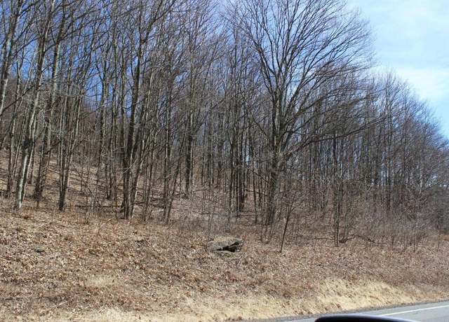 Property at 0 County Highway 26, Hamden, NY 13782