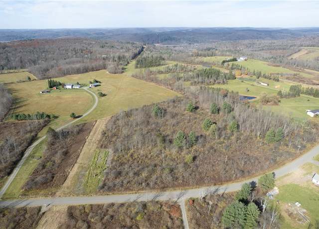 Property at 00 Lisle Rd W, Owego, NY 13827