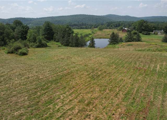 Property at 0 State Highway 28, Otsego, NY 13337