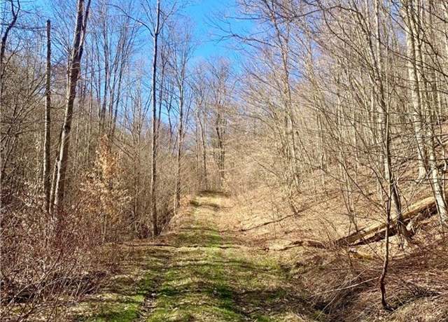 Property at Chapman Rd, Humphrey, NY 14741