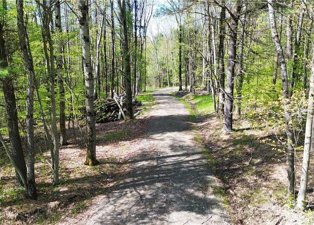 Property at Tracy Rd, Coventry, NY 13730