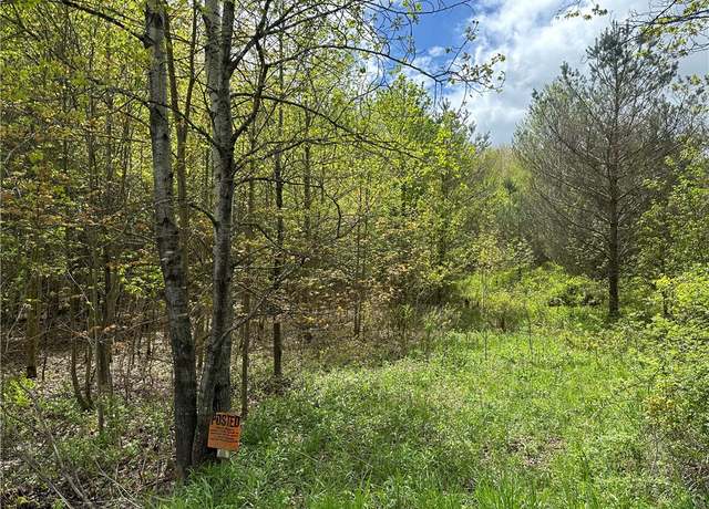 Property at 0 Pine Tree Rd, Pittsfield, NY 13411