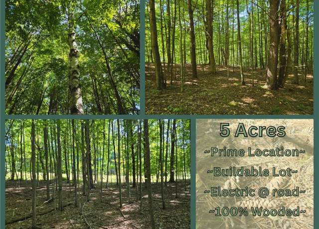 Property at Lot 13 Canterbury Ln, Davenport, NY 13750