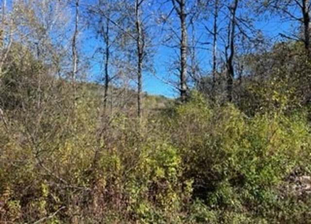 Property at 0 County Highway 4, Butternuts, NY 13776