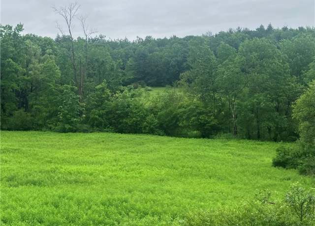 Property at 00 Oregon Rd, Butternuts, NY 13776