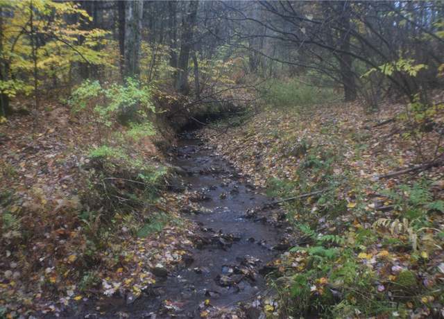 Property at 0 Crandall Rd & County Rd 37, Guilford, NY 13780