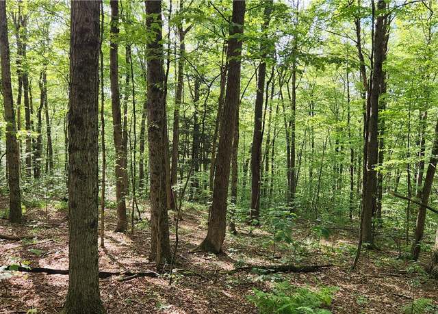 Property at 0 Hardknocks Rd, Unadilla, NY 13849
