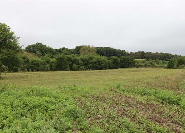 Property at 0 Rt-415, Cohocton, NY 14826