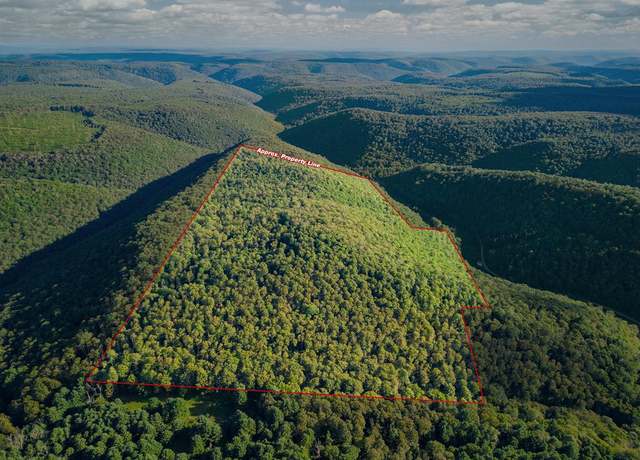 Property at - Rausch Rd, Abbott, PA 16922