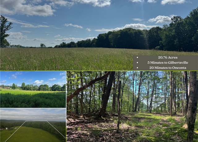 Property at Wilbur Hill Rd, Butternuts, NY 13776