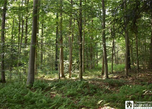 Property at Foe Rd, Dayton, NY 14138