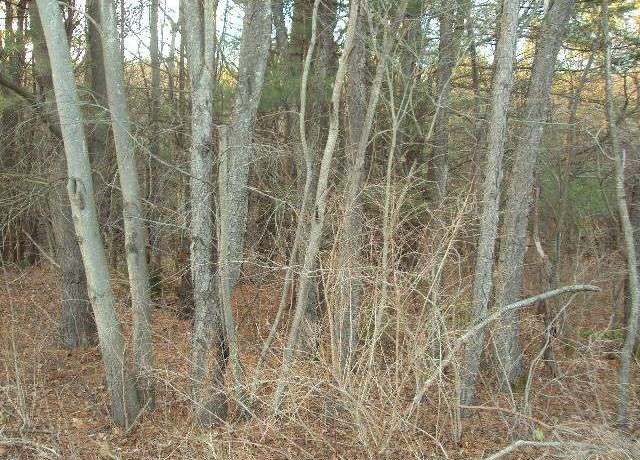 Property at 0 Winney Hill Rd, Oneonta-city, NY 13820