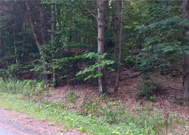 Property at 185 Eagle Mountain Rd, Summit, NY 12175