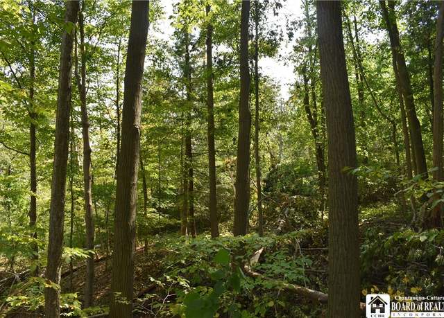 Property at Route 380, Ellicott, NY 14701