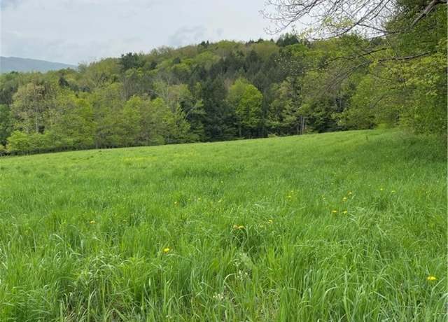 Property at Undisclosed address, Walton, NY 13856